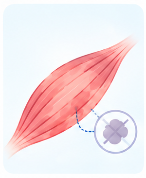 Illustration for step 1: The genetic problem